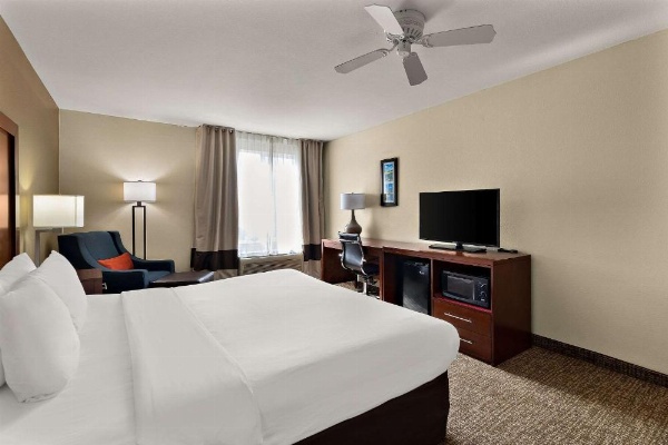 Comfort Inn & Suites Sequoia Kings Canyon image 13