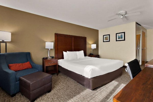 Comfort Inn & Suites Sequoia Kings Canyon image 15