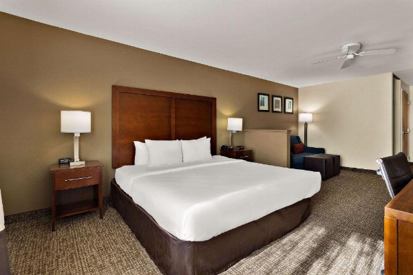 Comfort Inn & Suites Sequoia Kings Canyon image 24